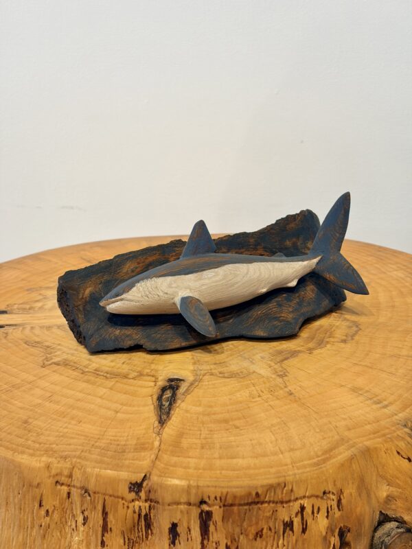 Mako Shark