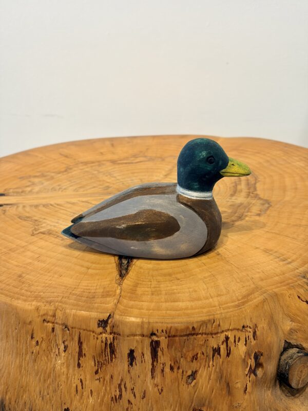Quacker (Lil Gaffer Series)
