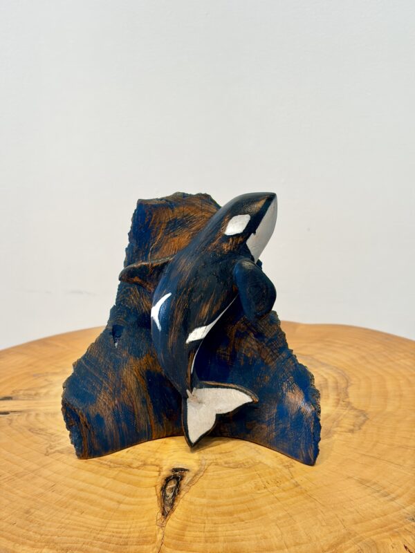 Dancing Orca