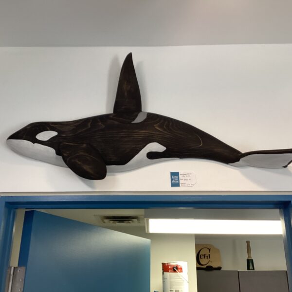 Oliver the Orca Oliver the Orca